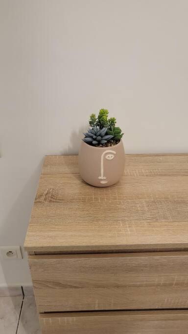 Apartamento Chaleureux, Proche De La Gare